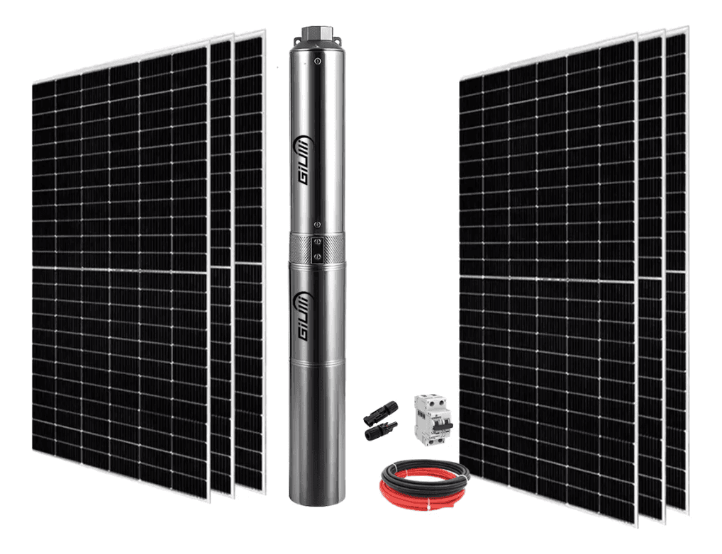 Bomba Giulli em detalhe